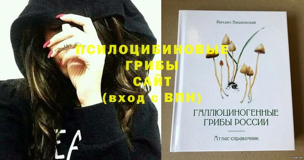 не бодяженный Володарск