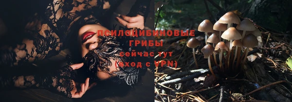не бодяженный Володарск
