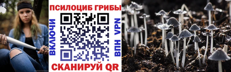 Галлюциногенные грибы Psilocybine cubensis  наркота  KRAKEN вход  Железногорск 