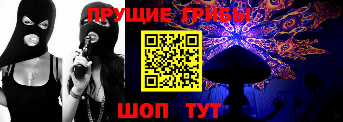 Железногорск  Галлюциногенные грибы прущие грибы  Вход с VPN 